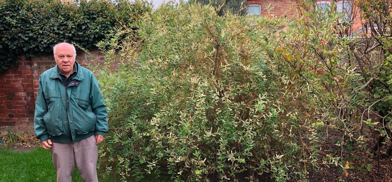 Bedford Queens Park, Bedfordshire - Dec 2025